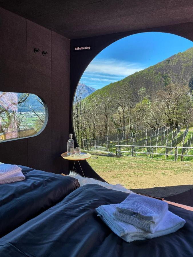 Birdbox Curzutt Hotel Monte Carasso Exterior photo