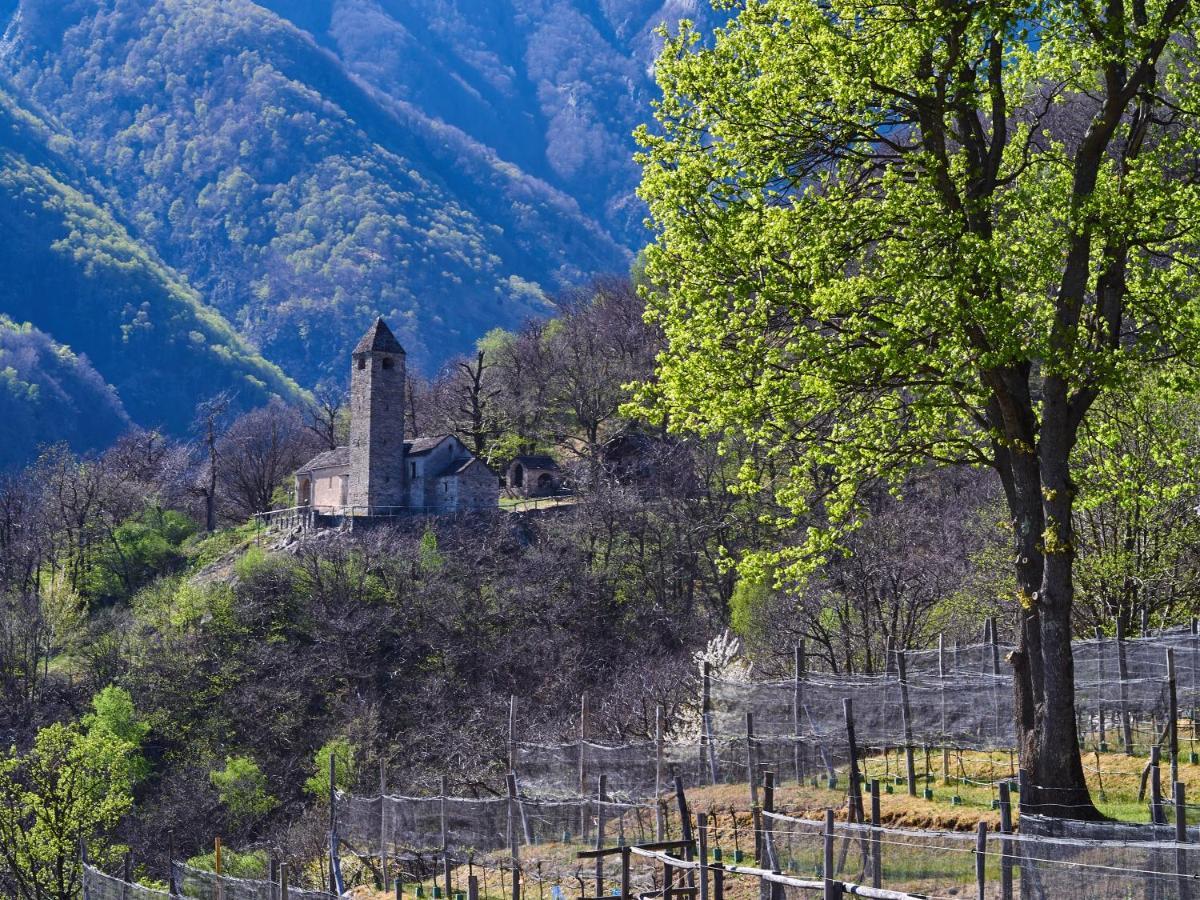 Birdbox Curzutt Hotel Monte Carasso Exterior photo